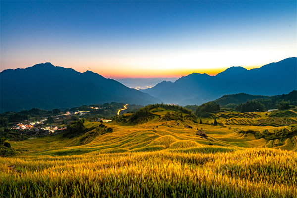 定制化管理咨詢方案：麗水企業(yè)轉(zhuǎn)型升級(jí)的鑰匙？