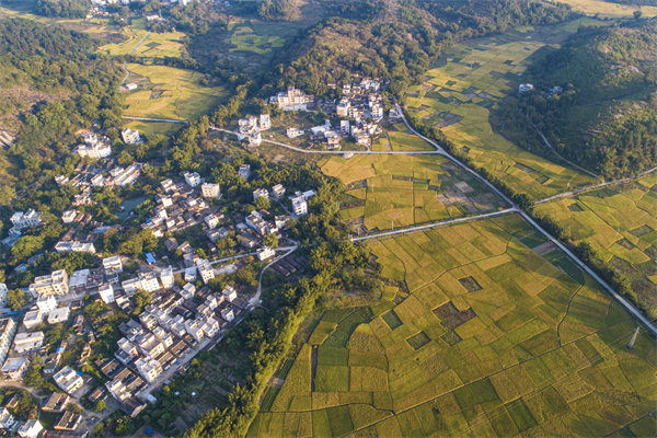 肇慶預算管理咨詢公司如何為企業(yè)構(gòu)建精細化的預算體系？