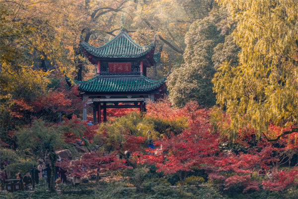 長沙薪酬咨詢公司如何設(shè)計(jì)合理的薪酬結(jié)構(gòu)與體系？