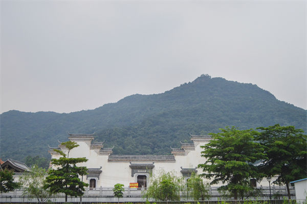 子公司各自為戰(zhàn)內耗大，佛山集團管控咨詢公司有何整合之道？